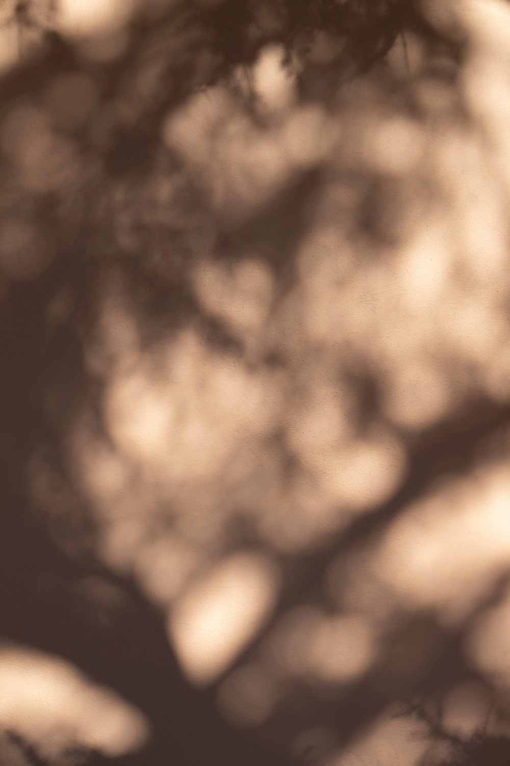 CLARI³ - Coaching - Ein unscharfes Foto, das das Spiel von Licht und Schatten einfängt, vermutlich verursacht durch Sonnenlicht, das durch Baumblätter fällt.