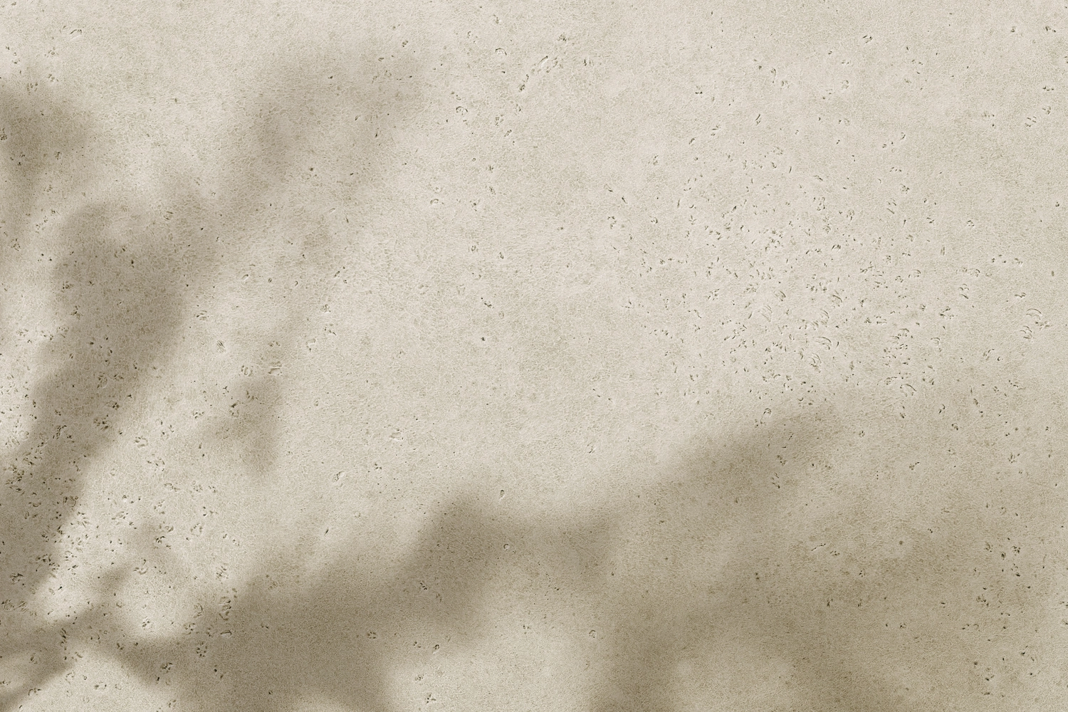 CLARI³ - Coaching - Eine strukturierte, beige Wandfläche, auf die abstrakte Schatten von Baumblättern fallen.